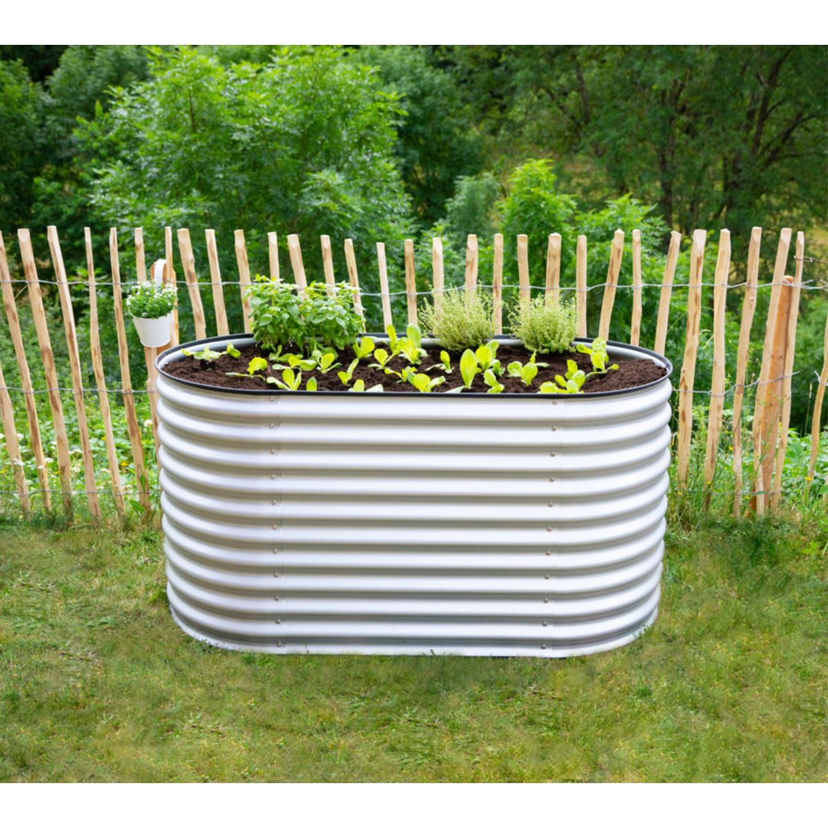 Westmann Hochbeet Grow Faster 80x160x82cm