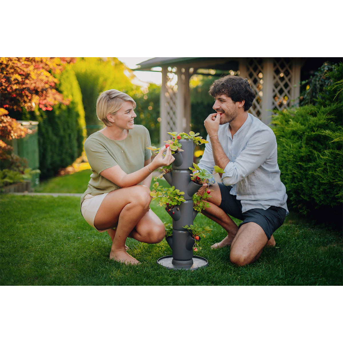 Erdbeerturm Sissi Strawberry Starter-Set anthr. Bild 2