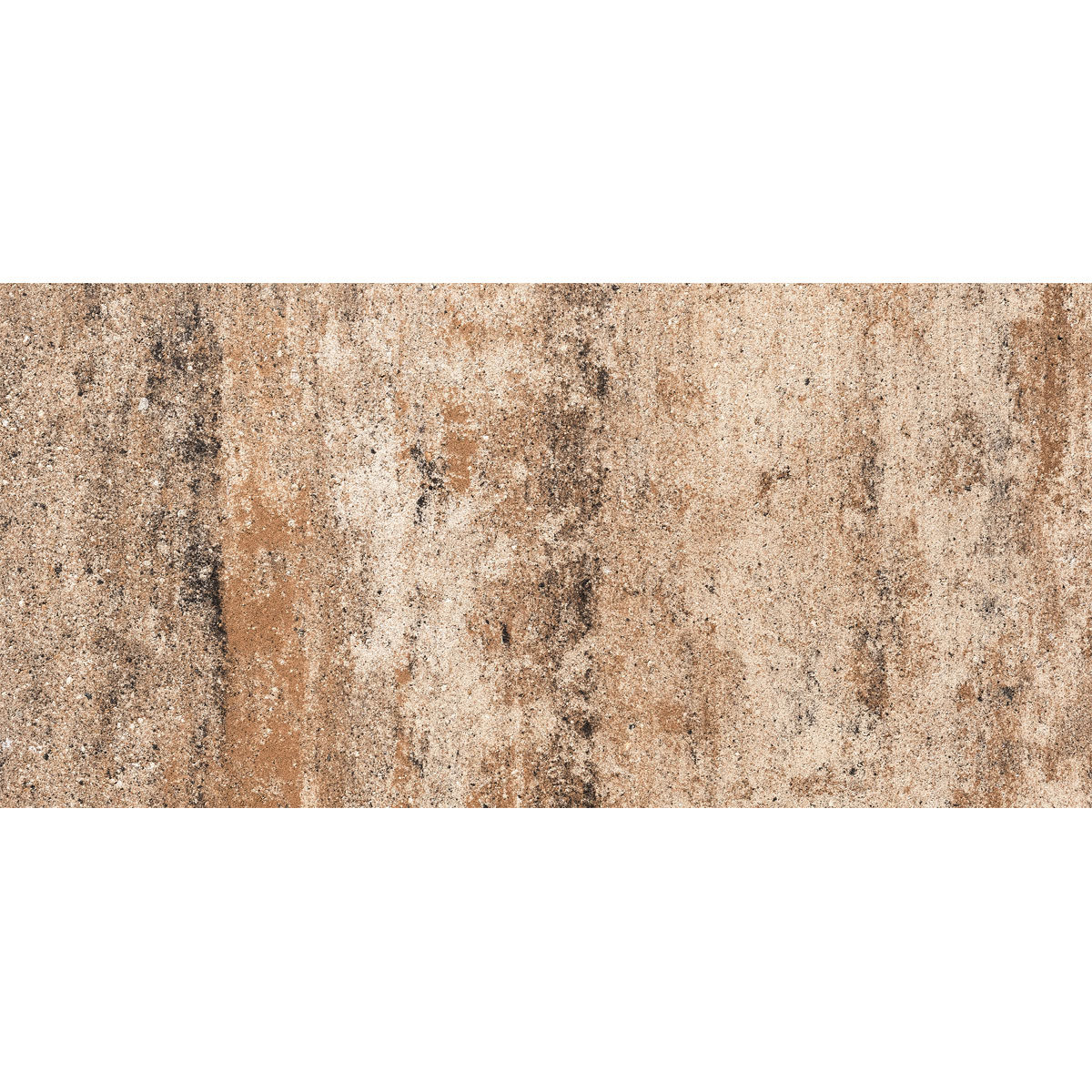 Terrassenplatte No1 Nature muschelkalk 80 x 40 x 4 cm Bild 1