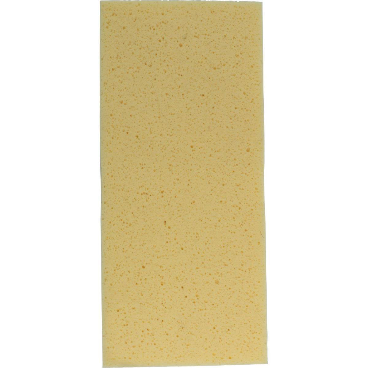 Krone Schwammauflage aus Hydro 14 x 31 x 3 cm