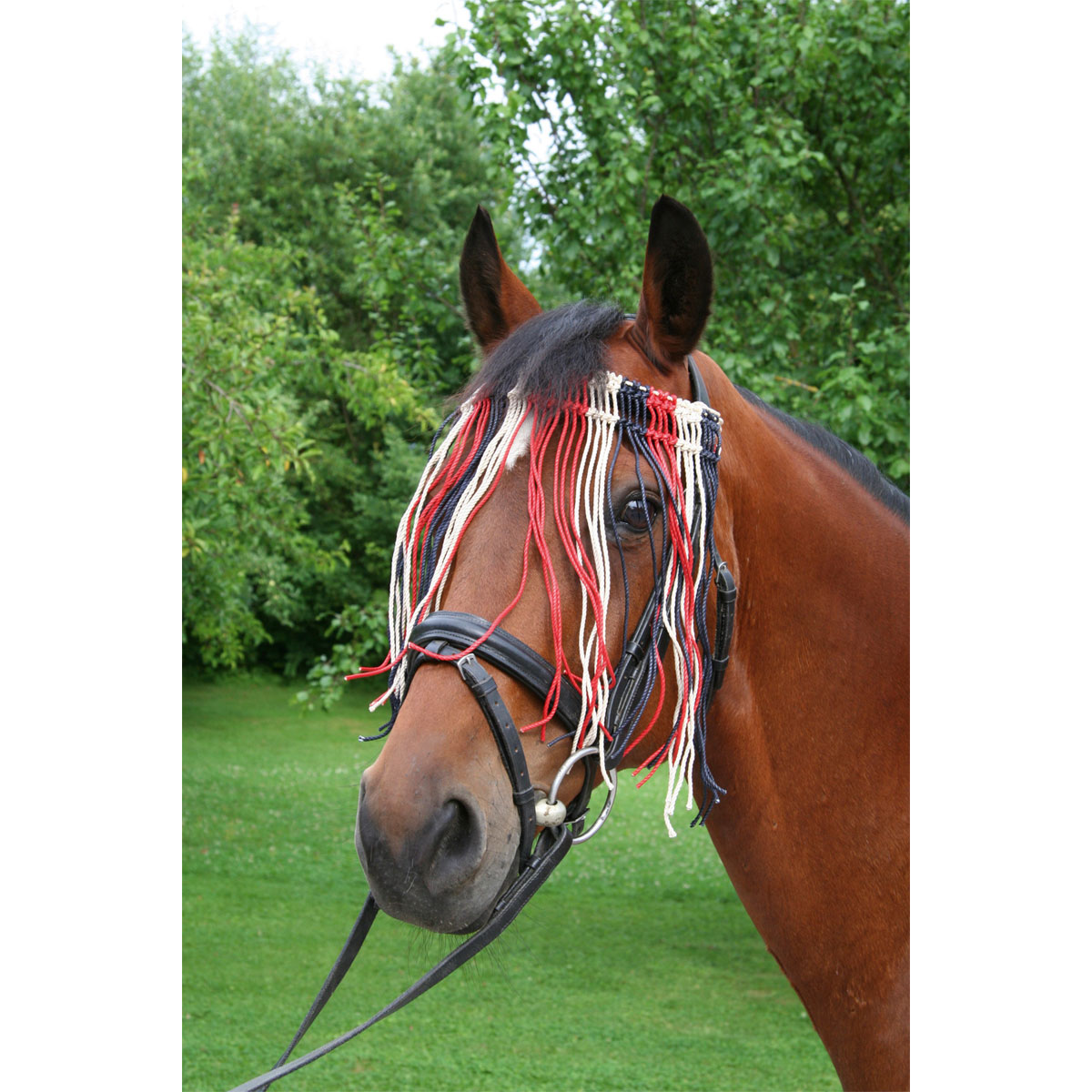 Fliegen-Fransenband Cob rot-blau-weiß Bild 2