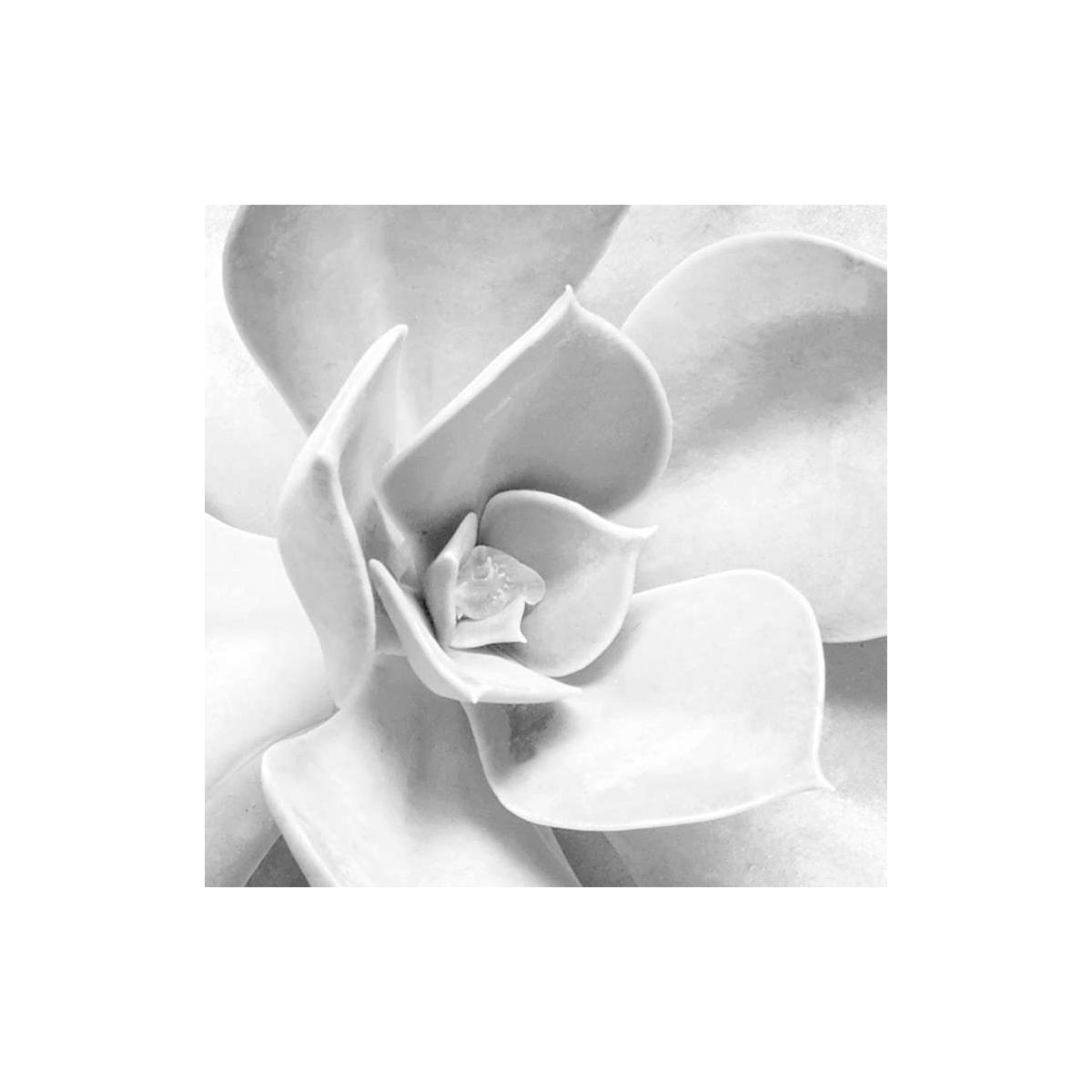 Komar  Vlies Fototapete Shades Black and White 400x250 cm Bild 5