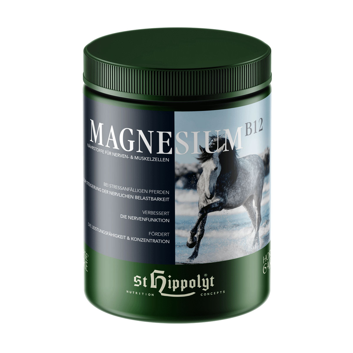 St. Hippolyt Zusatzfutter Magnesium B12 1 kg