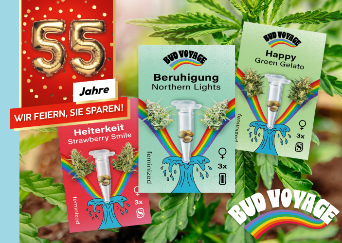 Bud Voyage: Hanfsamen