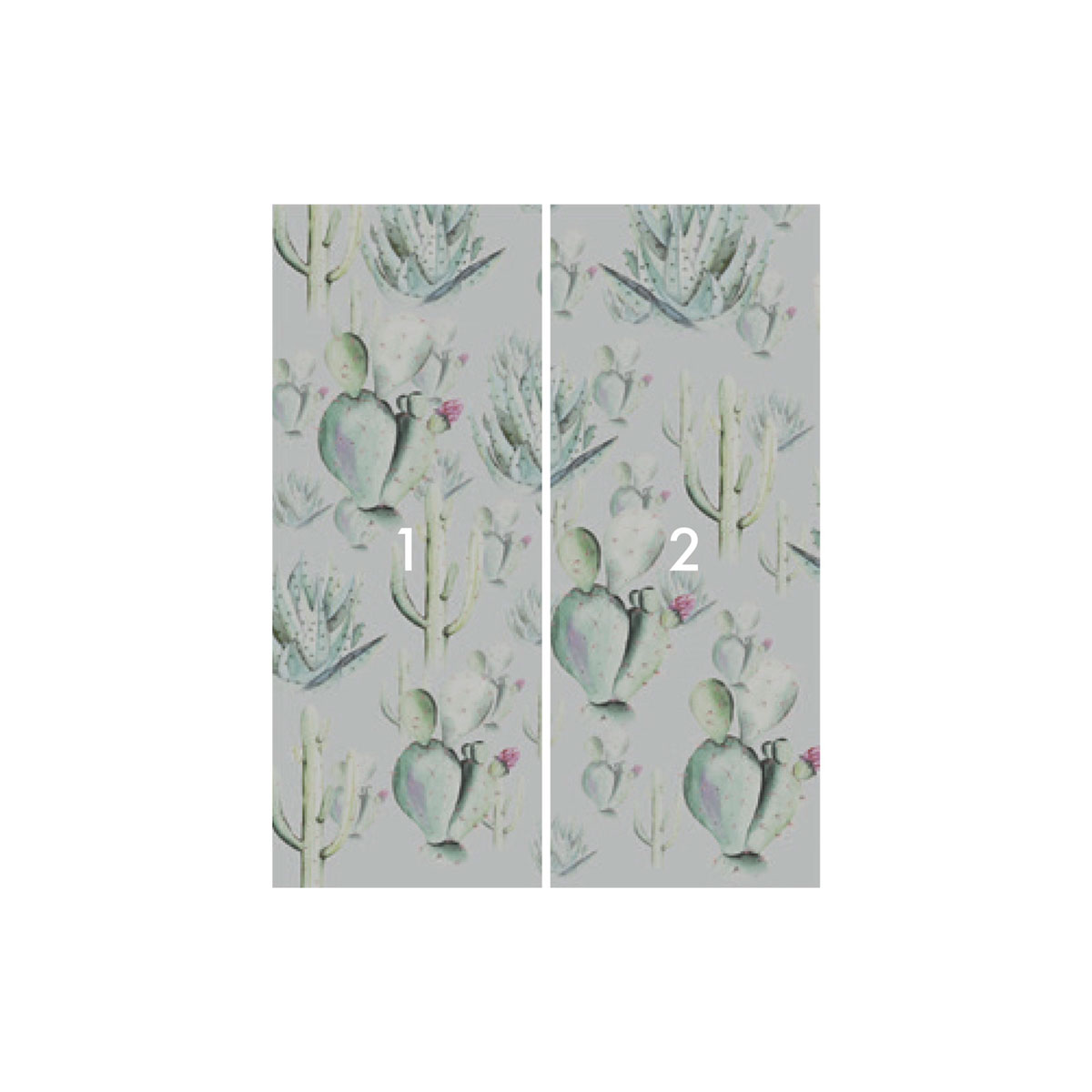 Komar  Vlies Fototapete Cactus Grey 200x250 cm Bild 3