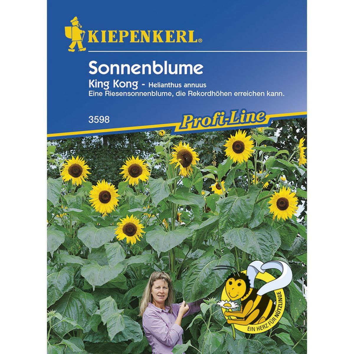 Kiepenkerl Sonnenblume King Kong