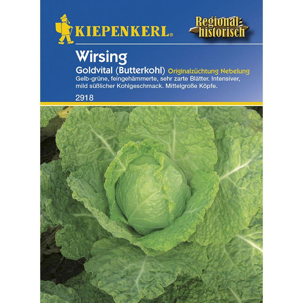 Kiepenkerl Butterkohl Wirsing Goldvital Bild 1