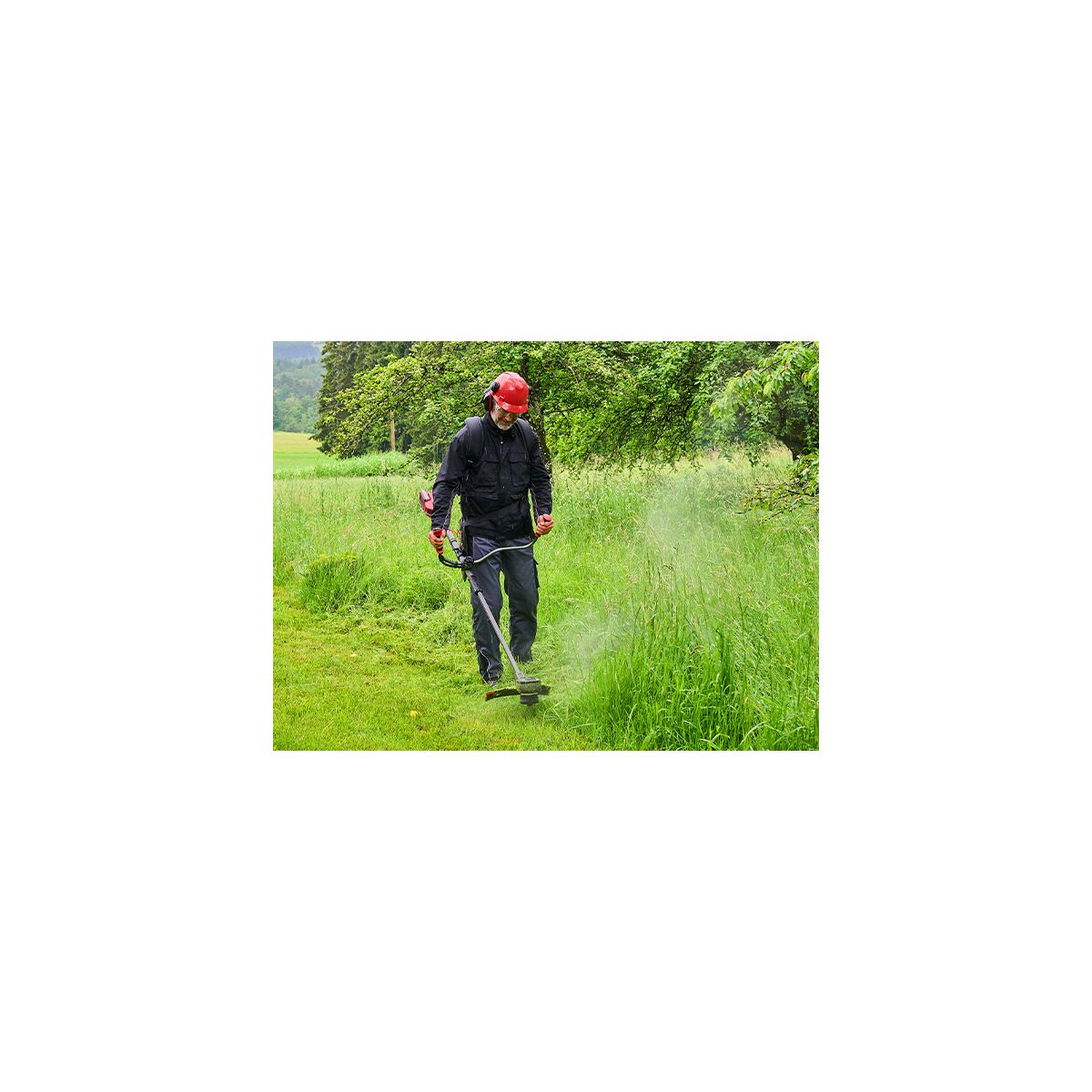 Einhell Akku-Sense GP-BC 36/430 Li BL-Solo Bild 5