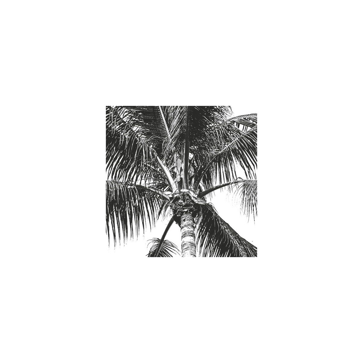 Komar  Vlies Fototapete Retro Palm 200x280 cm Bild 7