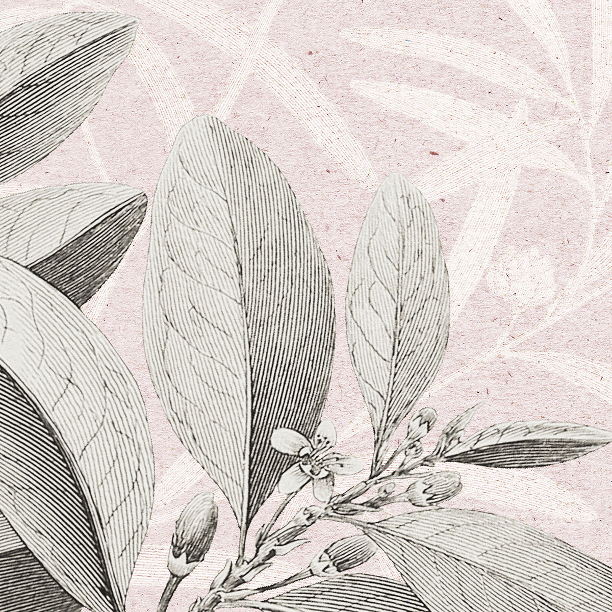 Komar  Vlies Fototapete Kalina 350x250 cm Bild 3