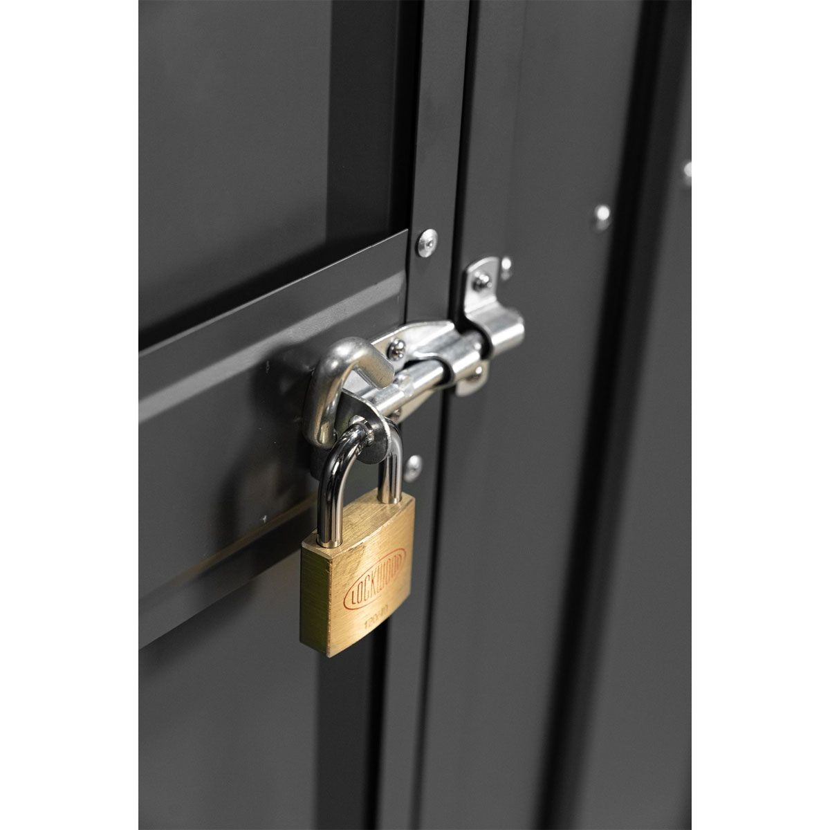 Globel Schwingtür-Kit 1 anthrazit Bild 4