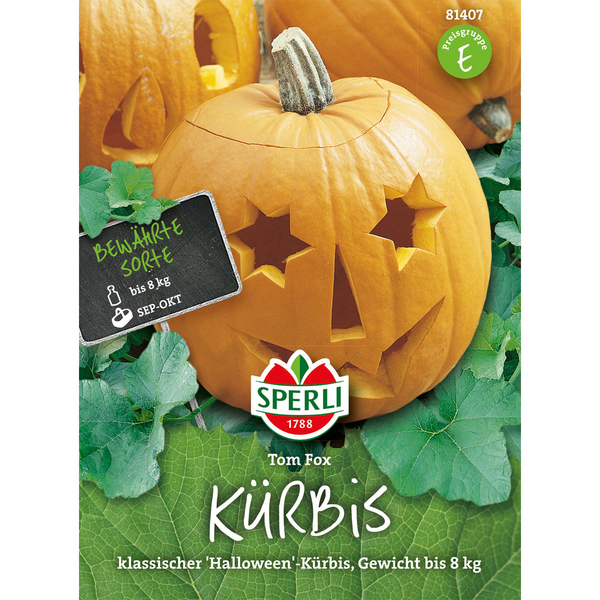 Sperli Kürbis Tom Fox Bild 1