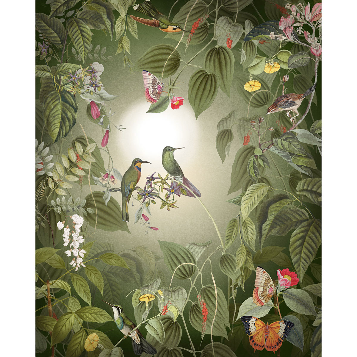 Komar  Vlies Fototapete Wildlife Birds 200x250 cm Bild 2