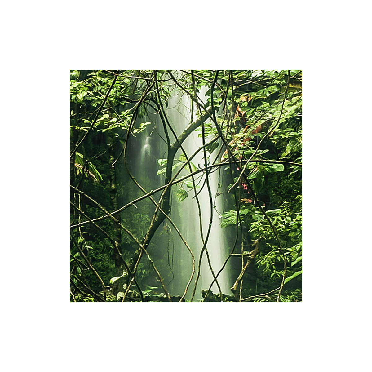 Komar  Vlies Fototapete My Hidden Treasure 400x250 cm Bild 5