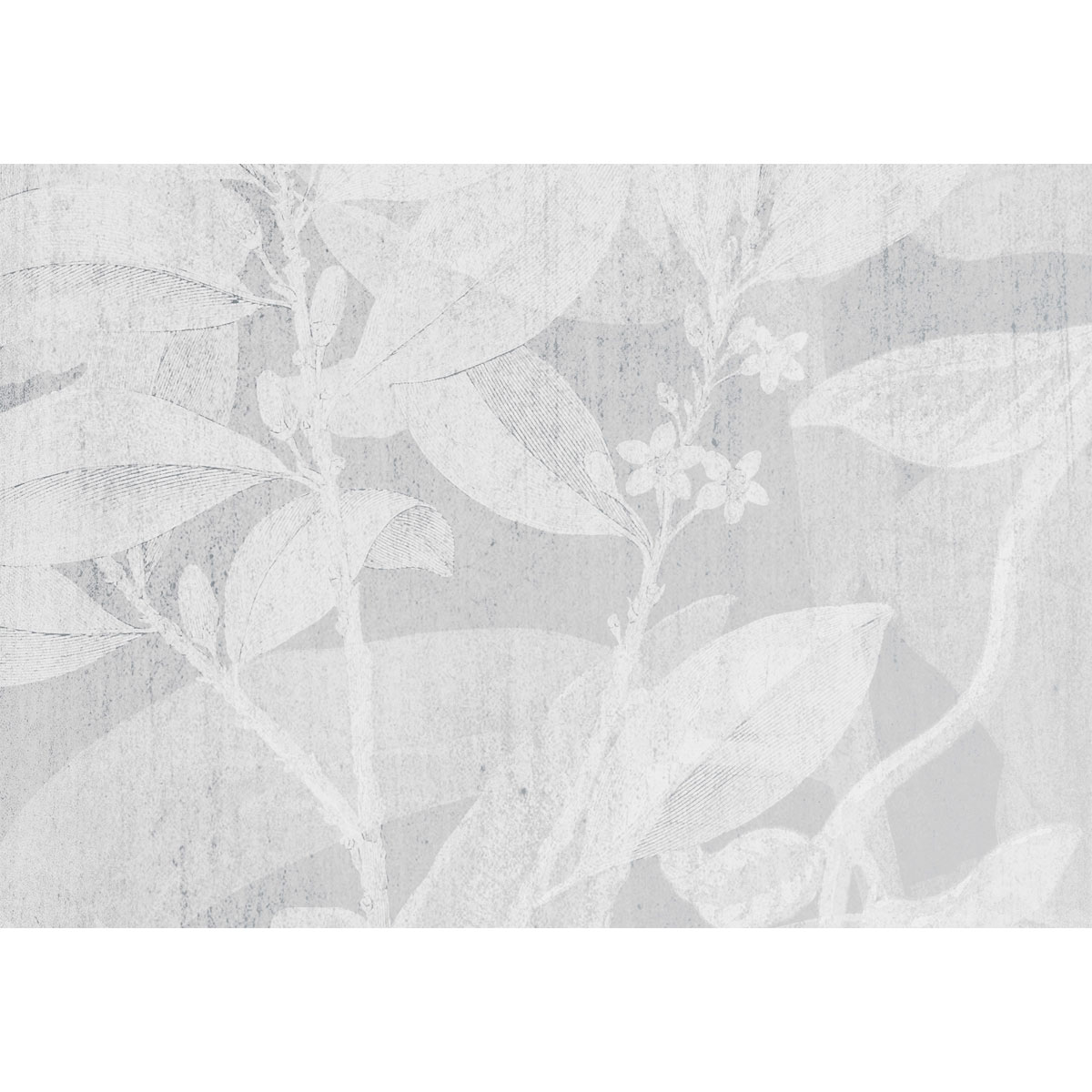 Komar  Vlies Fototapete Flora 400x280 cm Bild 3