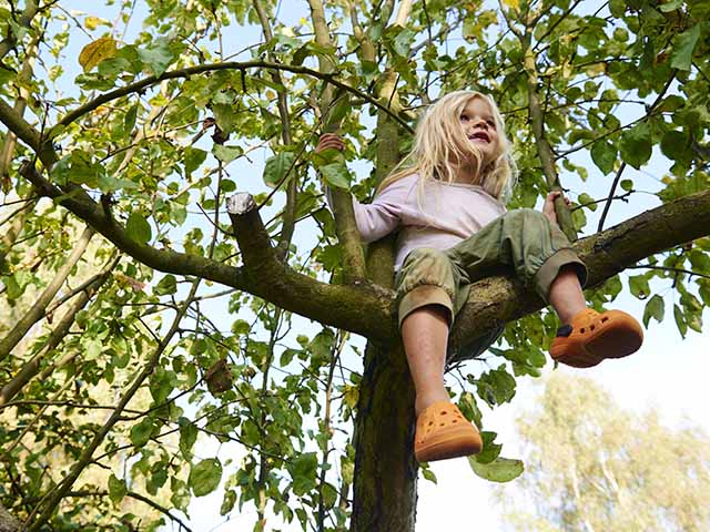 Kindersicherer Garten