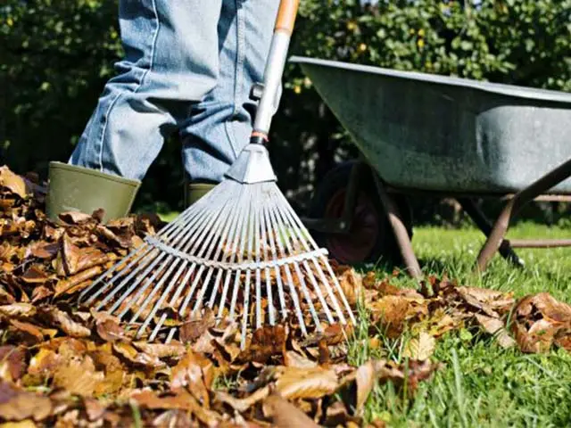 Garten winterfest machen