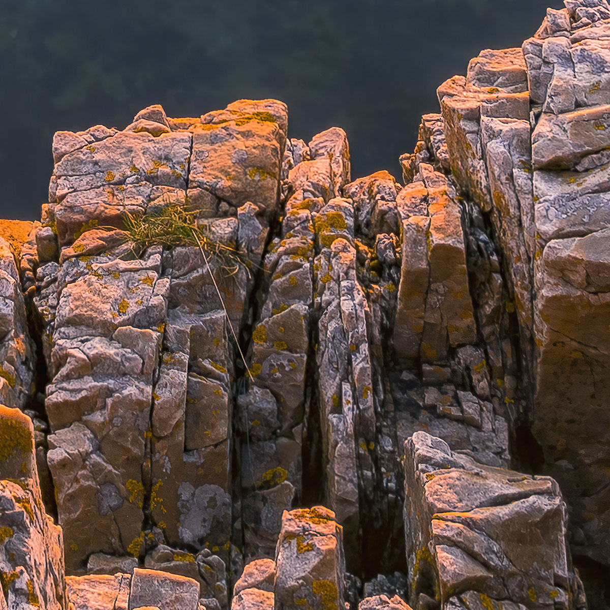 Komar  Vlies Fototapete Spiegelküste 368x248 cm Bild 9