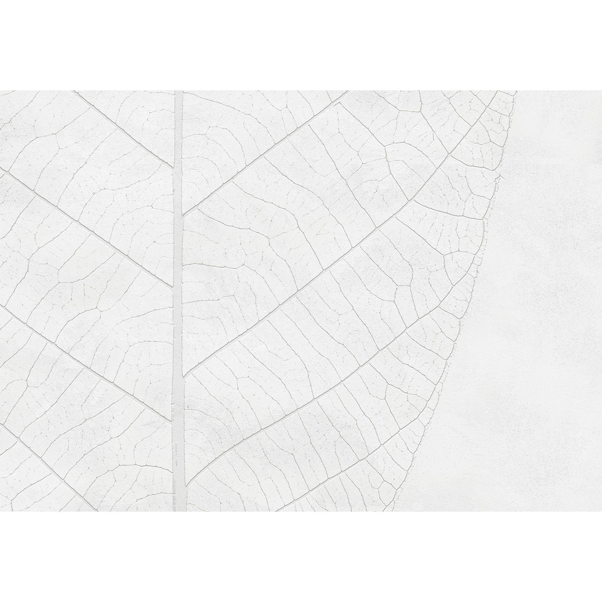 Komar  Vlies Fototapete Decent Leaf 200x280 cm Bild 4