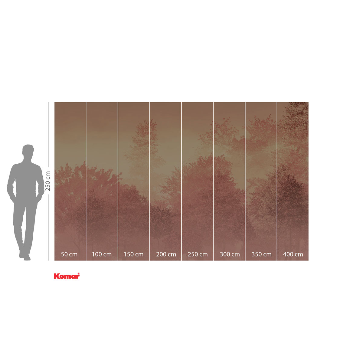 Komar  Vlies Fototapete Heartwood 400x250 cm Bild 3