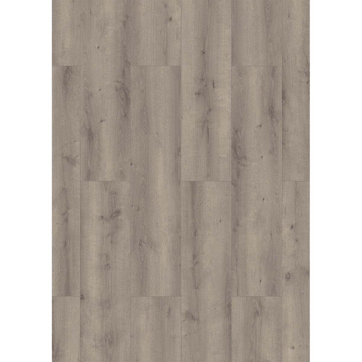 Specht Laminat Aqua Eiche grau 128,5x19,2x0,8 cm