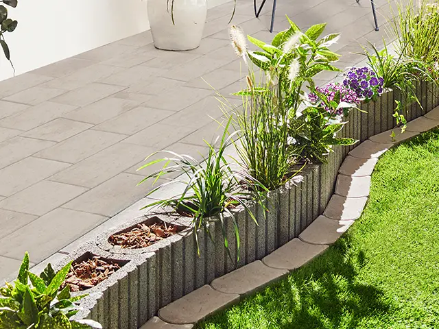 Pflanzen wachsen in einer bepflanzten Betonmauer neben einem gepflasterten Boden in einem Garten.