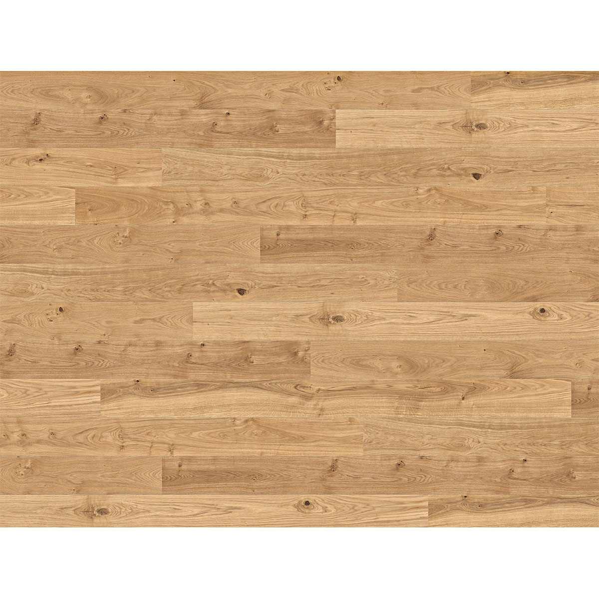 Specht Fertigparkett Deluxe Landhausdiele Eiche geölt Bild 2