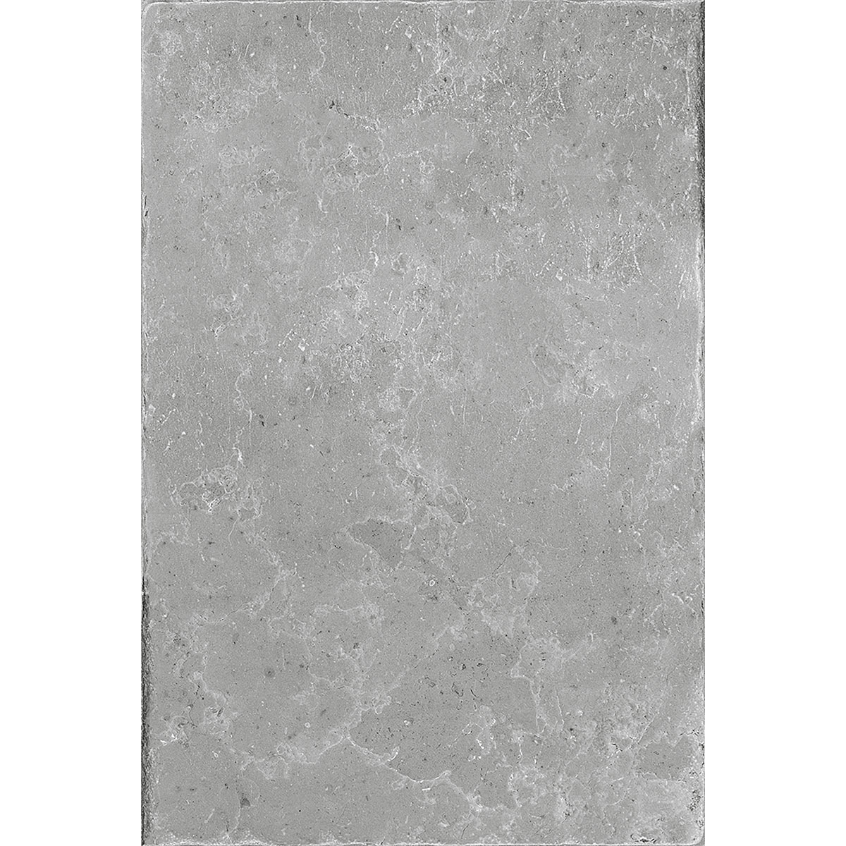 Feinsteinzeug-Platte „No. 1 Tile Antiquus“ Grau 61,4x40,8x2cm