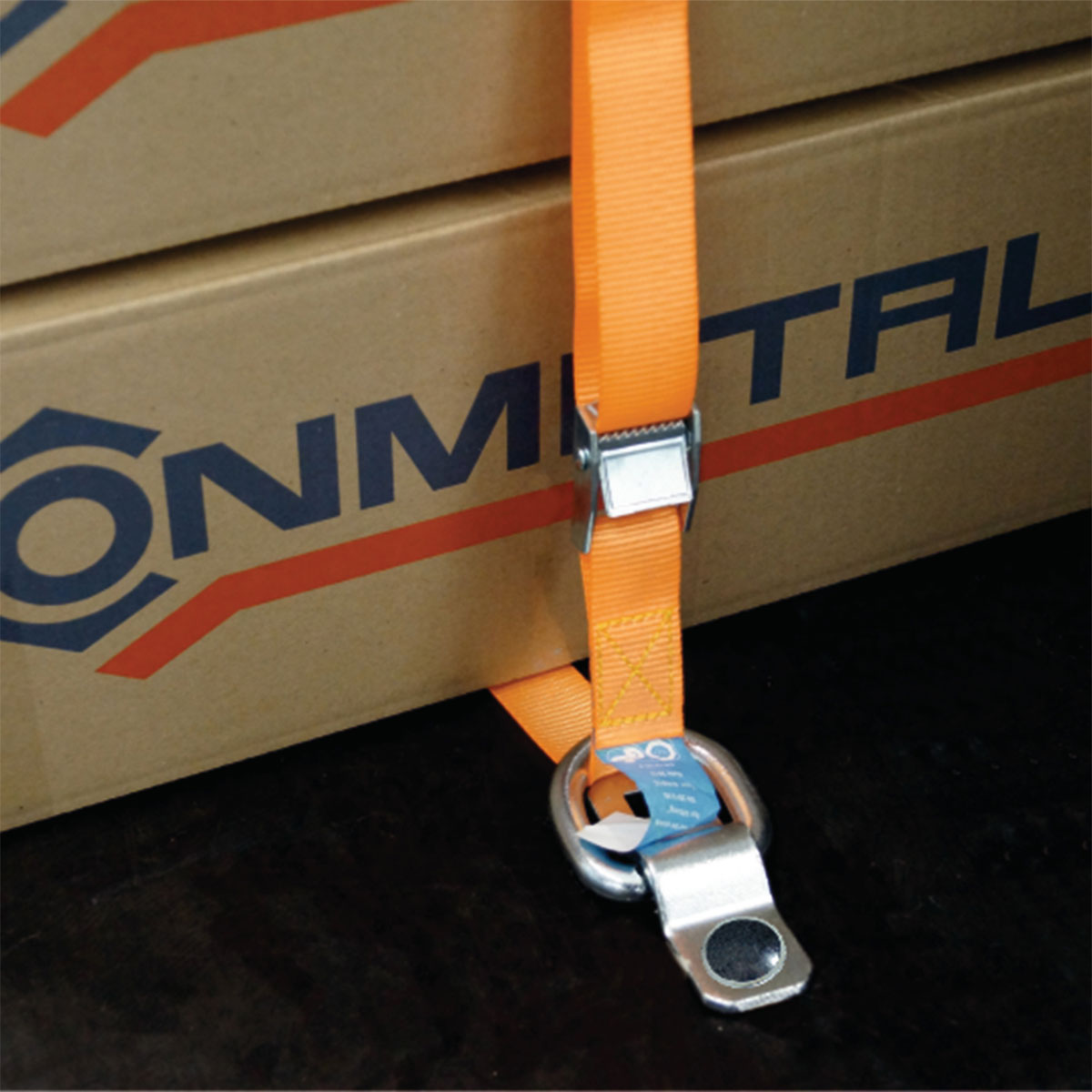 Connex Zurröse mit D-Ring 9 x 3 cm Bild 2