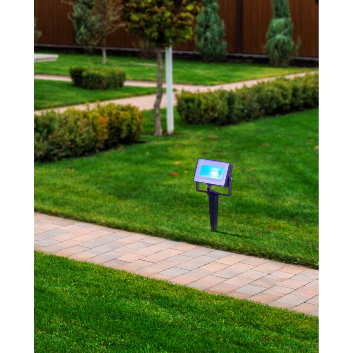 Eglo LED-Strahler Faedo 4 schwarz Bild 4