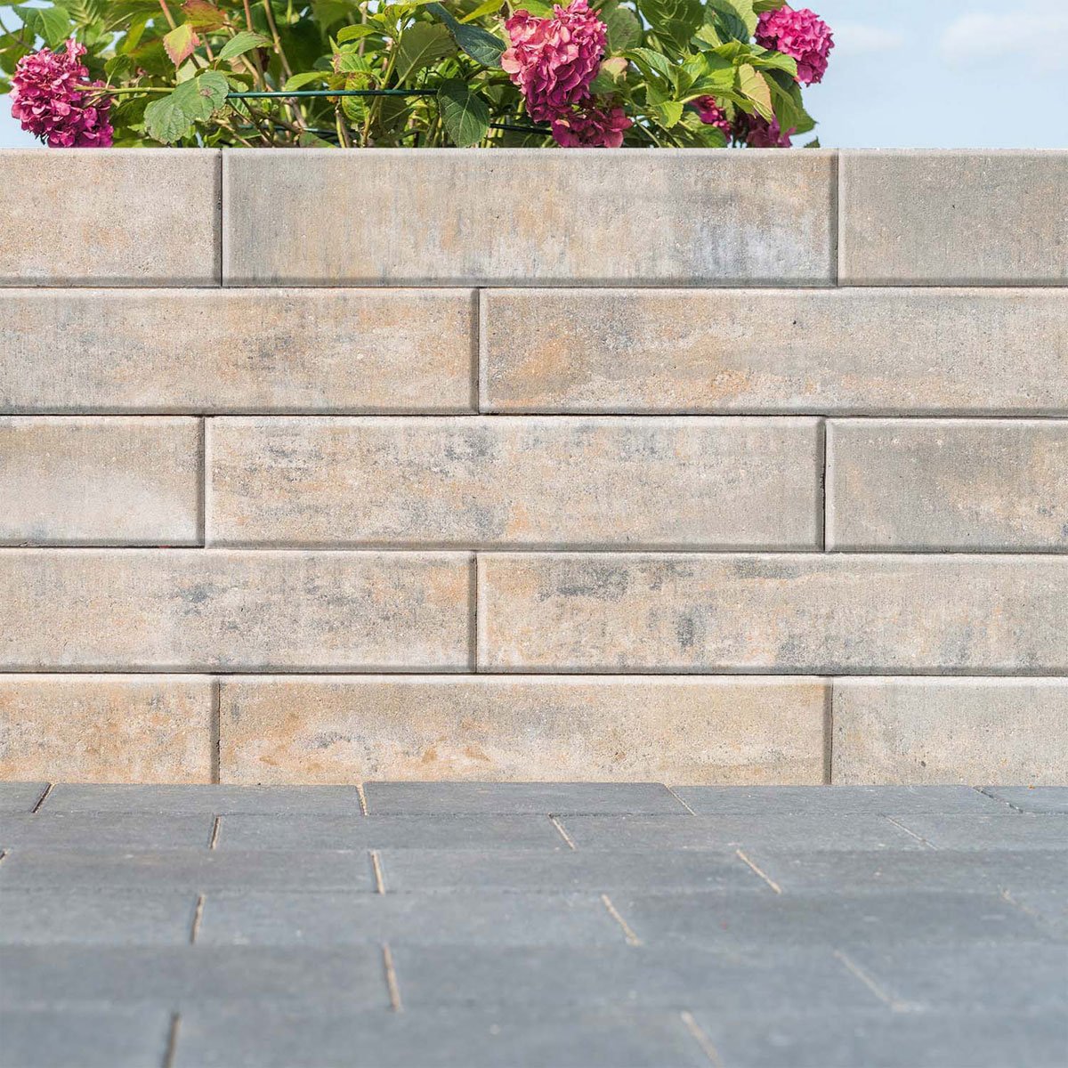 Diephaus  Mauerstein Straight Medio Muschelkalk 42 x 21 x  12,5 cm Bild 2