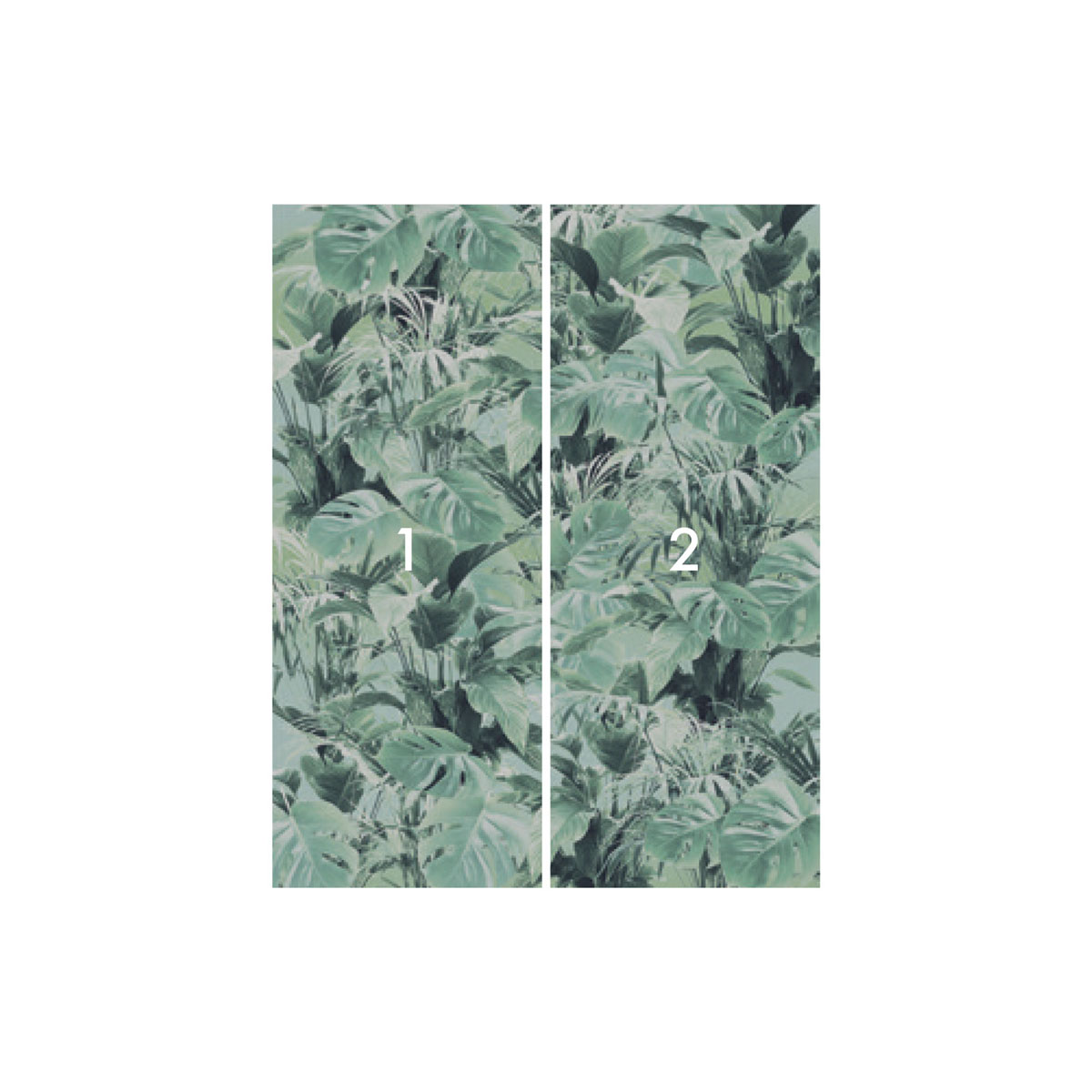 Komar  Vlies Fototapete Evergreen 200x250 cm Bild 3