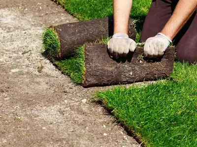 Eine Person legt Rollrasen auf einen trockenen Boden im Garten aus.