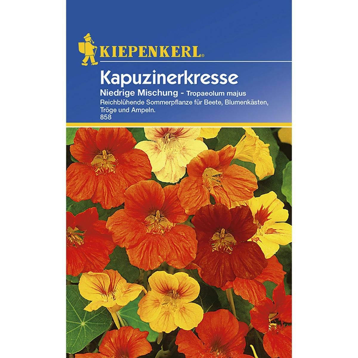 Kiepenkerl Kapuzinerkresse niedrige Mischung