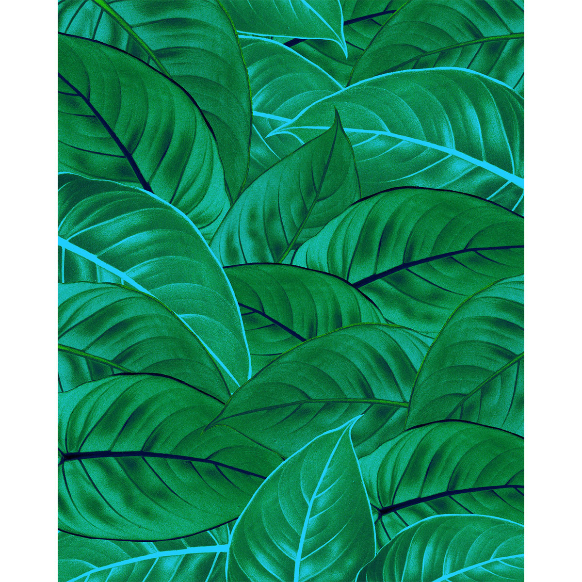 Komar  Vlies Fototapete Jungle Leaves 200x250 cm Bild 2