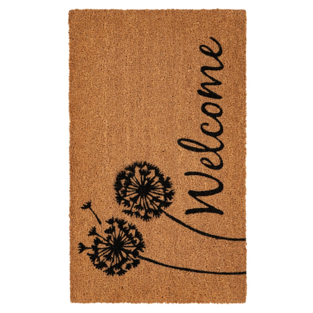 Fußmatte Natural Guard 225 Hellbraun 40 x 60 cm