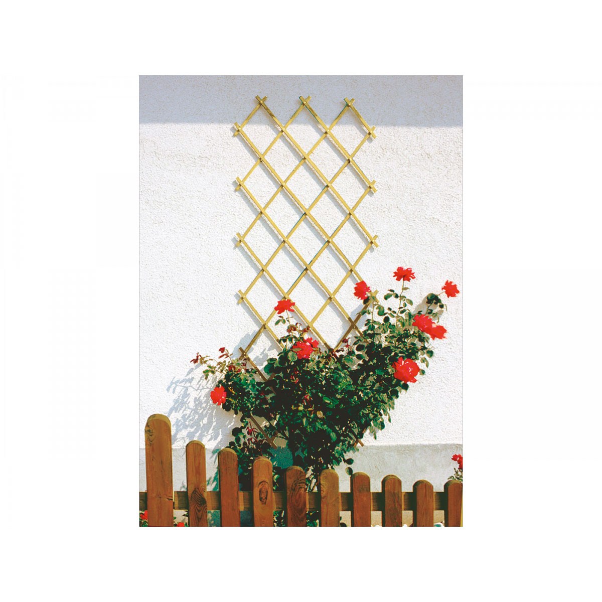 Scherenspalier Bild 1