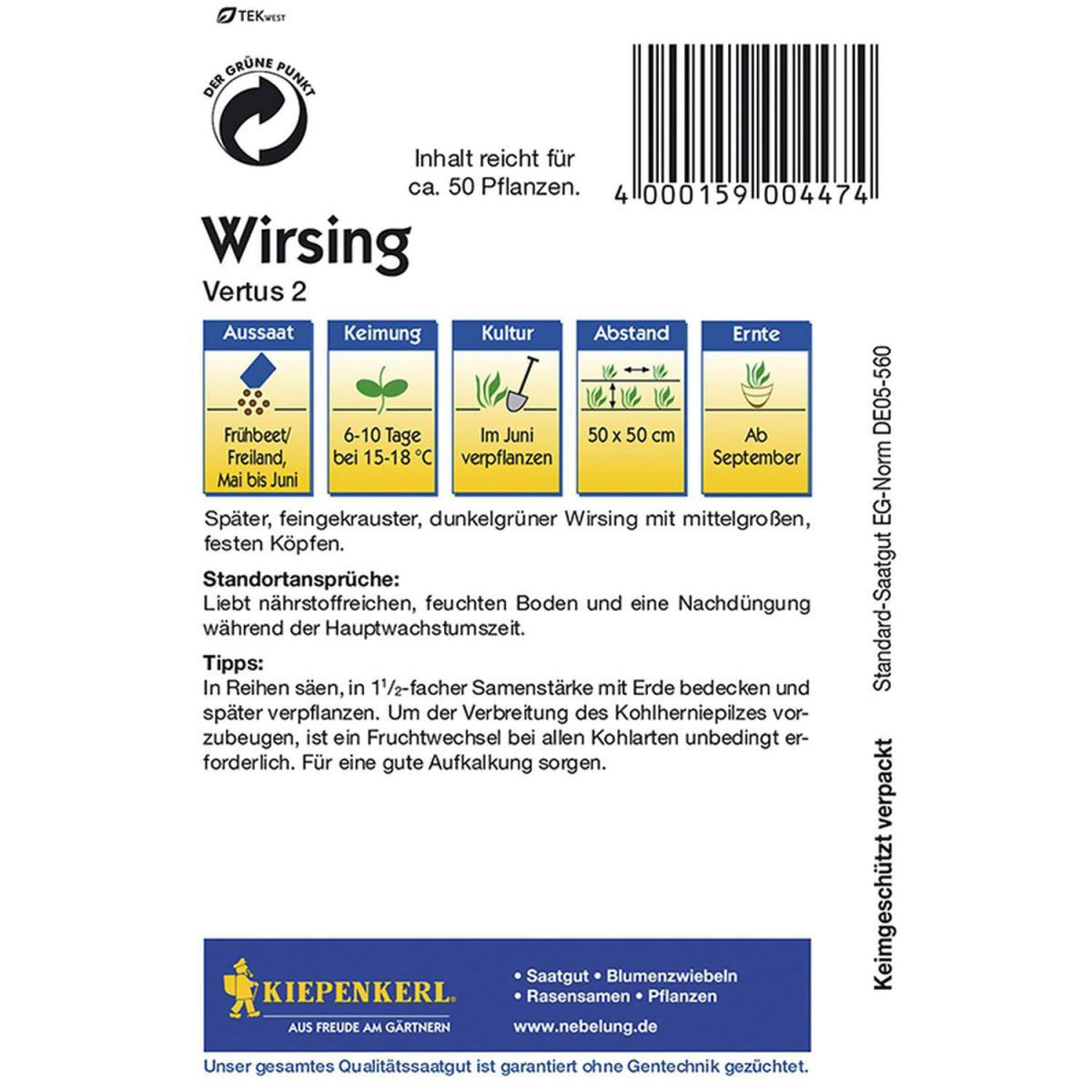 Kiepenkerl Wirsing Vertus 2 Bild 2