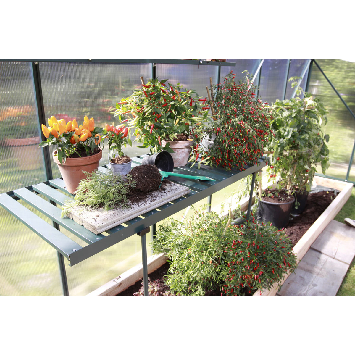 Vitavia  Alutisch, abklappbar, 120x50 cm, grün Bild 4