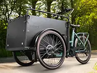 Ein Lastenfahrrad steht auf einem Weg, umgeben von grünem, schattigem Wald.