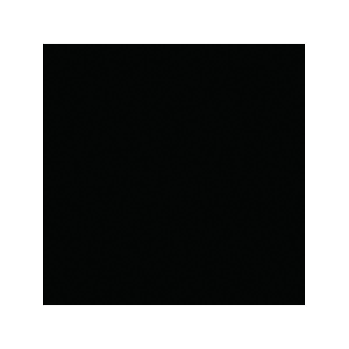 Vincent 2in1 Buntlack Tiefschwarz glänzend 125 ml Bild 2