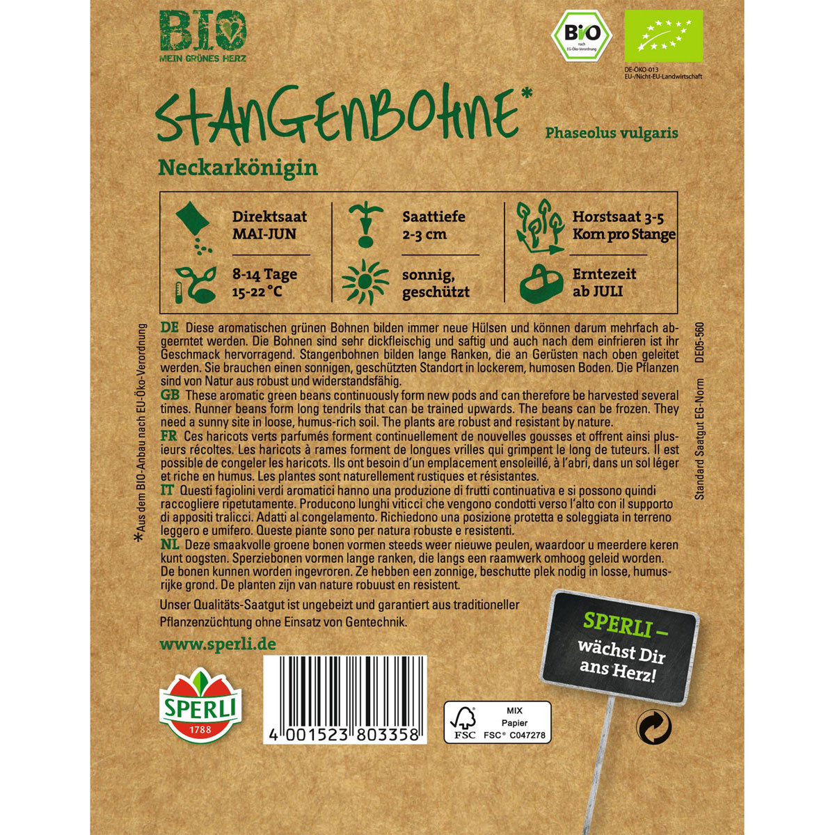 Bio-Stangenbohne grün 3-4 m Bild 2