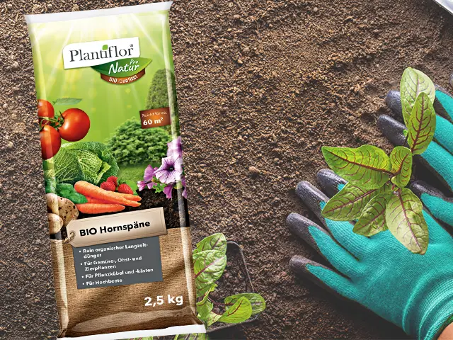 Plantiflor Blumenerde auf einem Beet