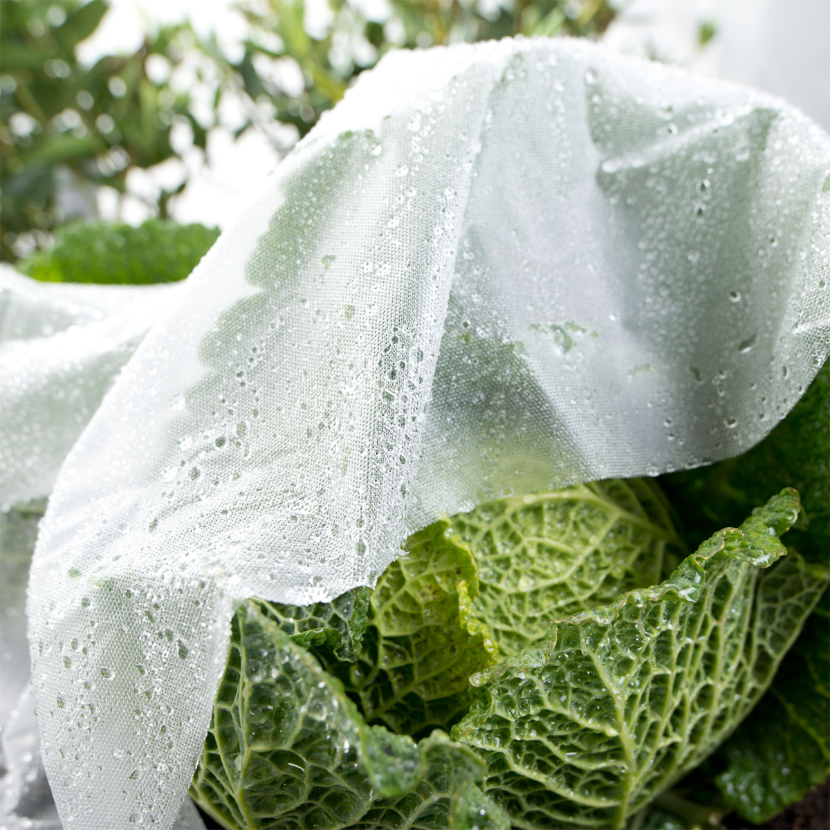 Windhager  Frühbeet-Folie Supergrow 5x1,35 m Bild 2