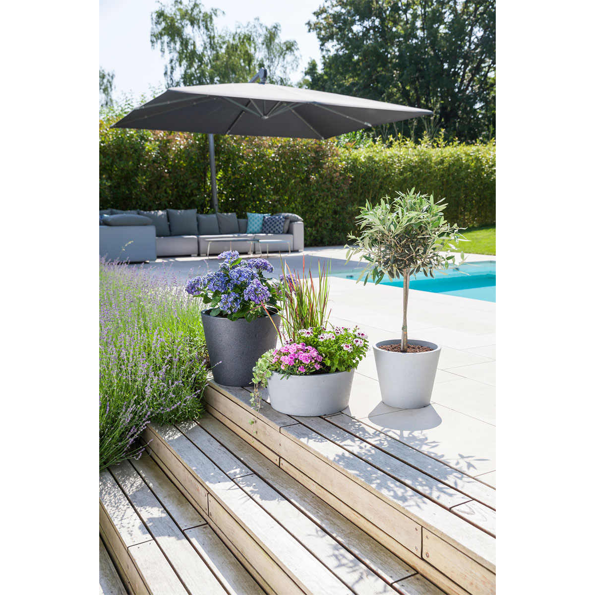 Scheurich Pflanzgefäß C-Cone Durchmesser 30 cm Stony Grey Bild 2