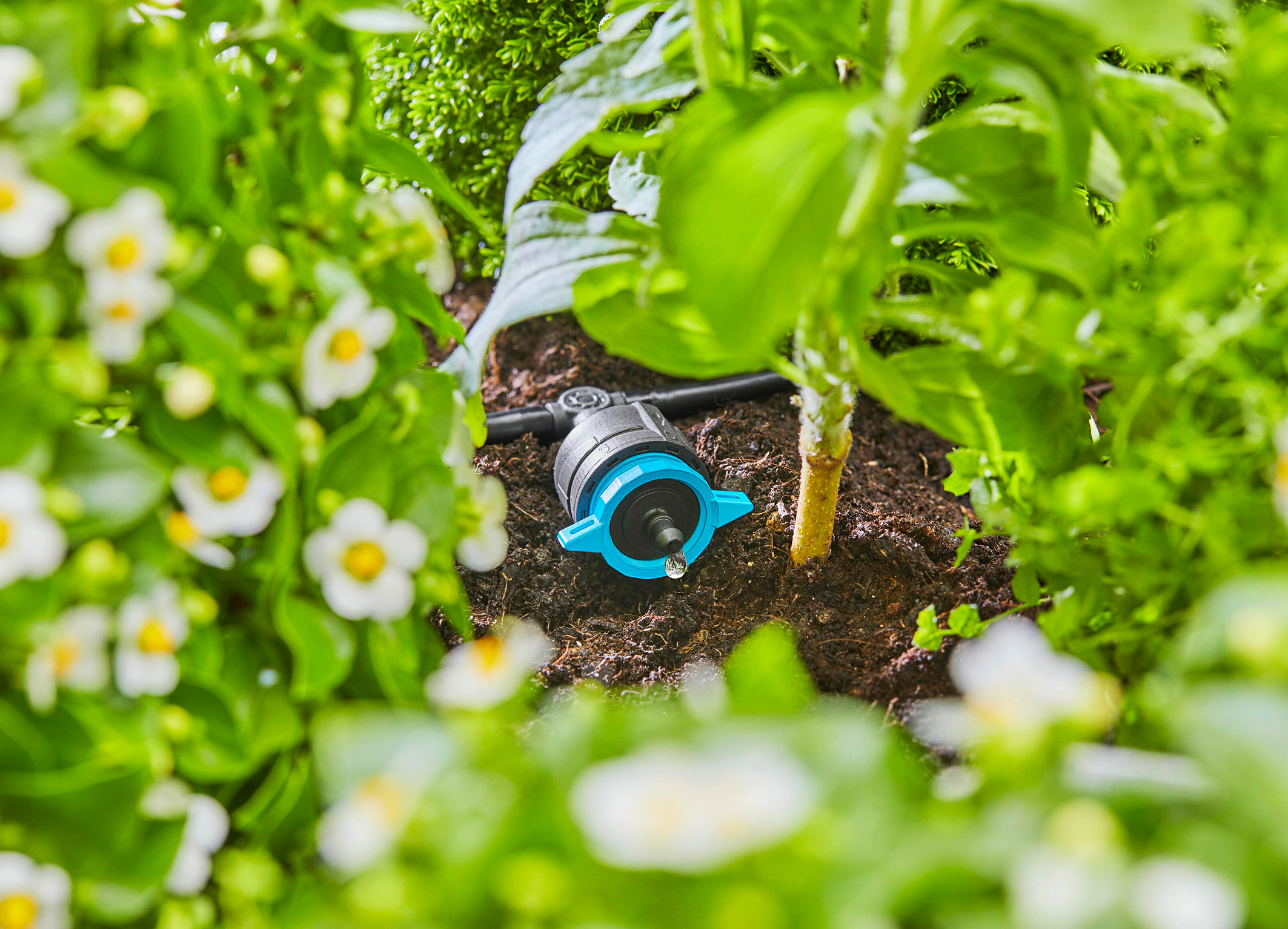 Ein Micro Drip System von nahem