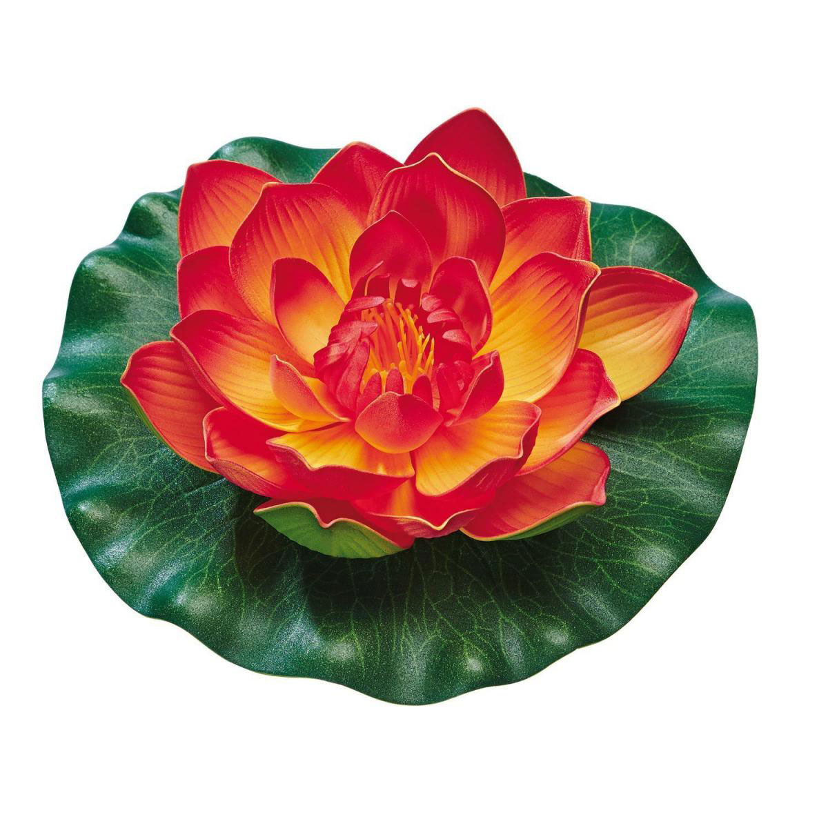 Oase PontecPondo Lily orange