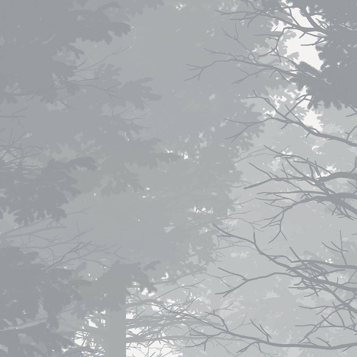 Komar  Vlies Fototapete Nebula 350x250 cm Bild 7