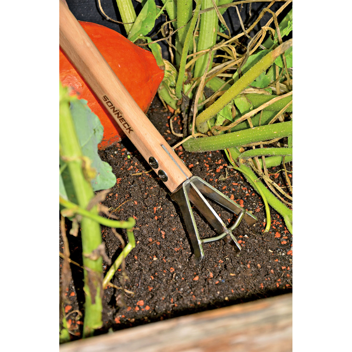 Sonneck Hochbeet-Jätekralle Natura Pro Bild 4