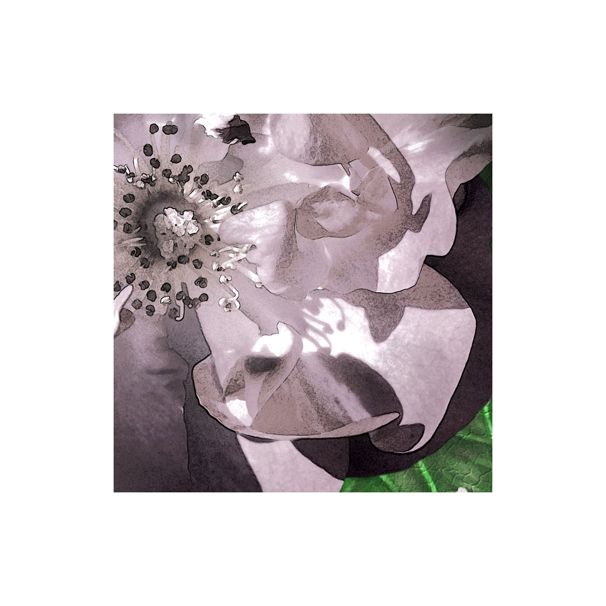 Komar  Vlies Fototapete Victoria Black 400x250 cm Bild 7